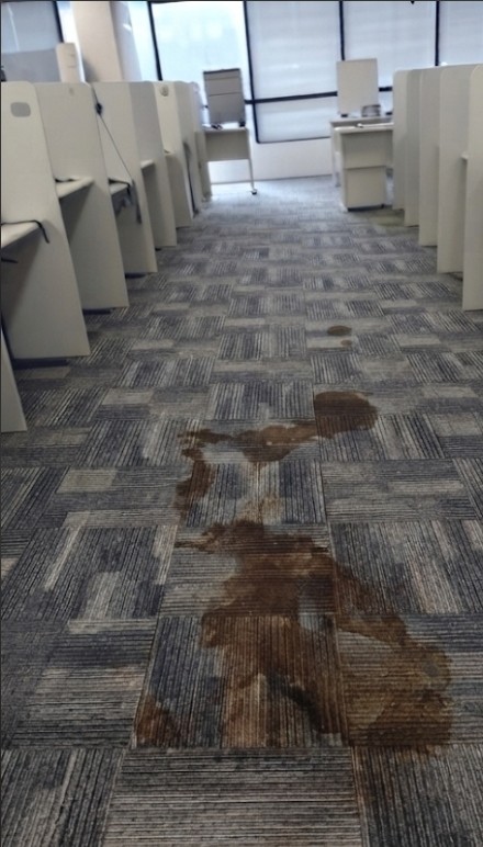 Office Carpet Cleaning — before cleaning